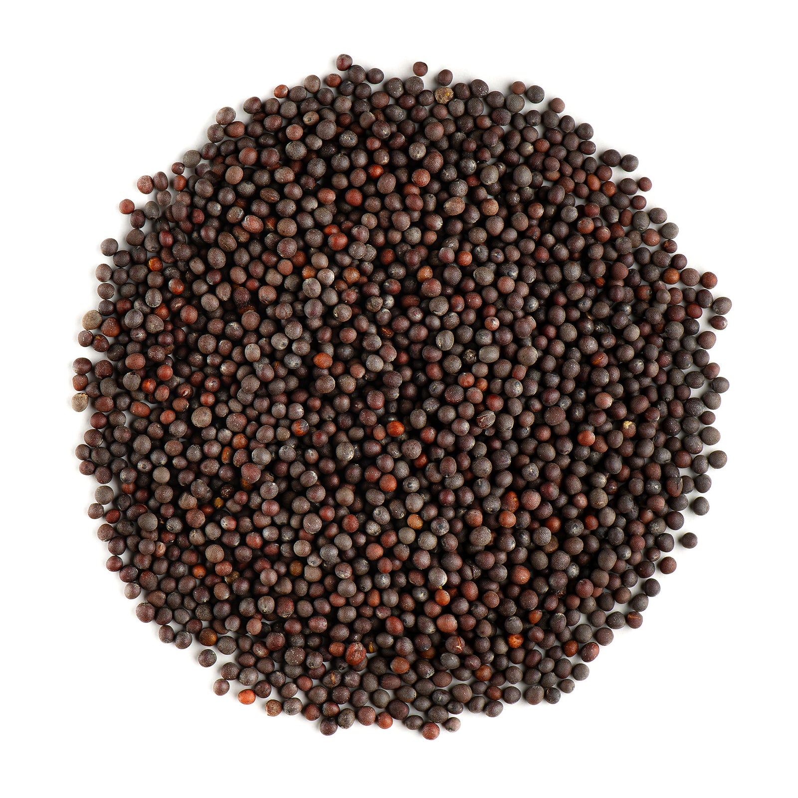 Black Mustard Seed 200g