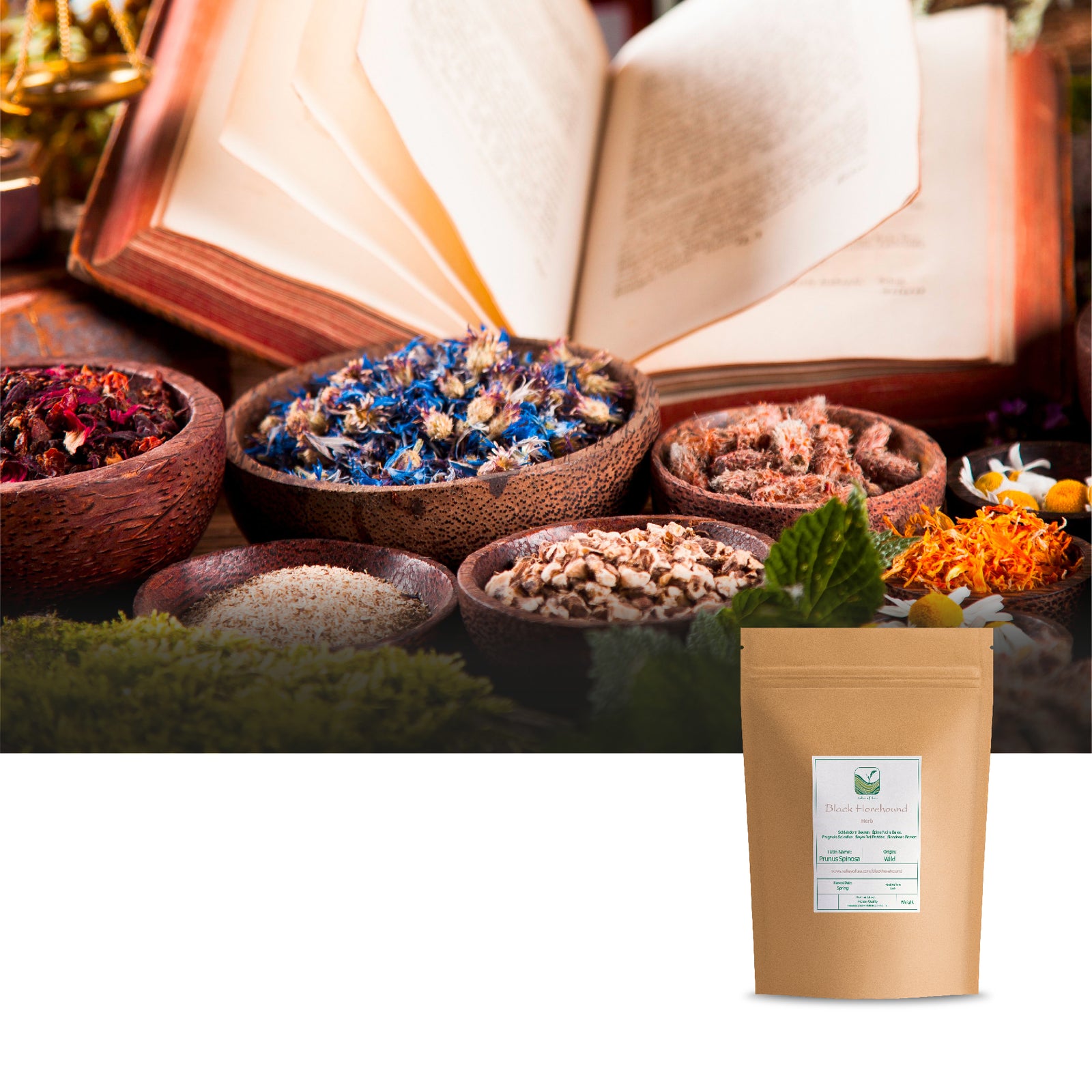 Black Horehound 100g
