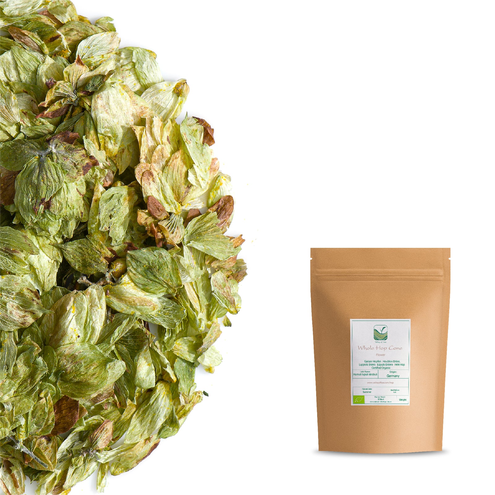 Whole Hop Cone 50g