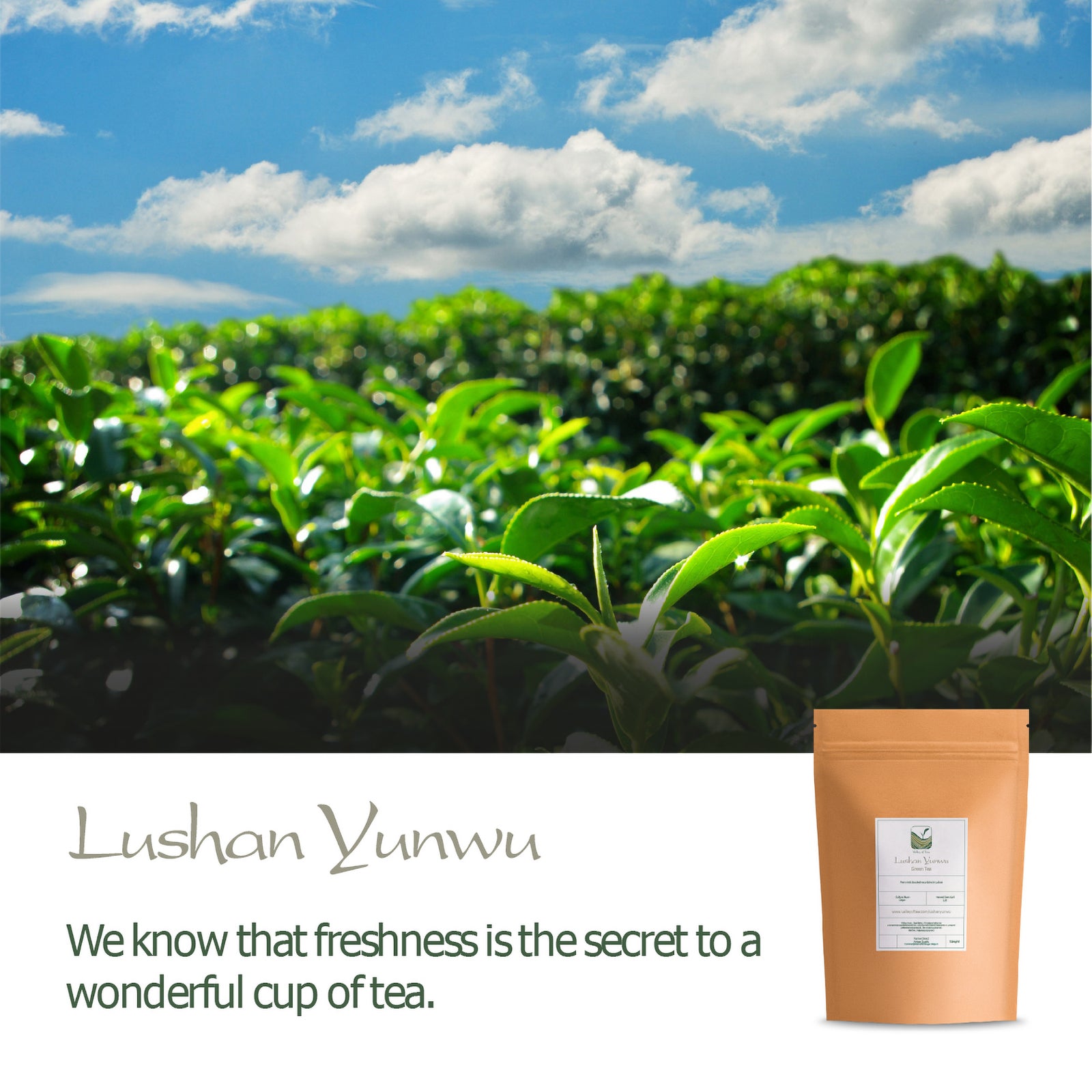Lushan Yunwu 100g