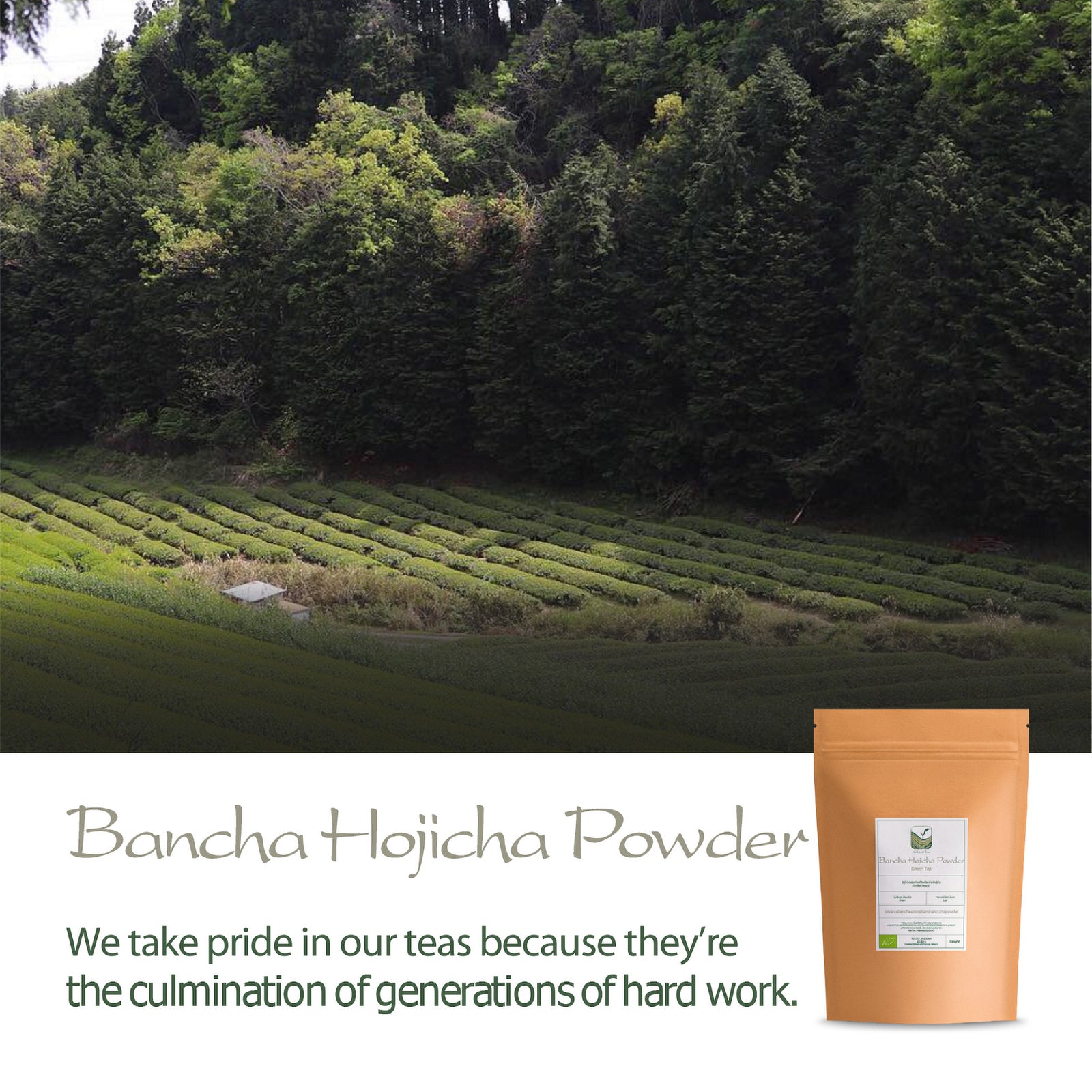 Bancha Hojicha Powder 50g