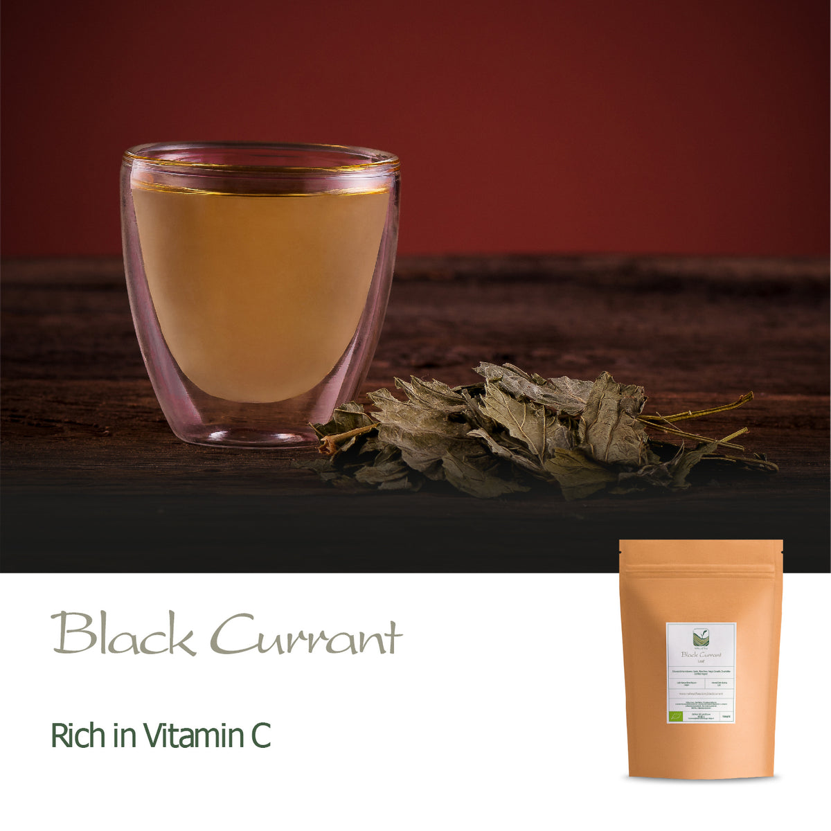 Foglia Di Ribes Nero