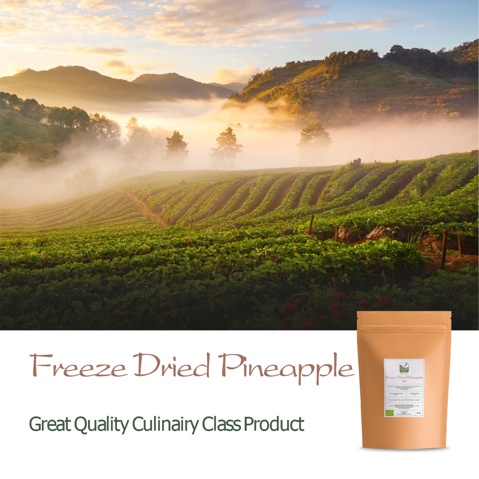 Freeze Dried Pineapple 40g