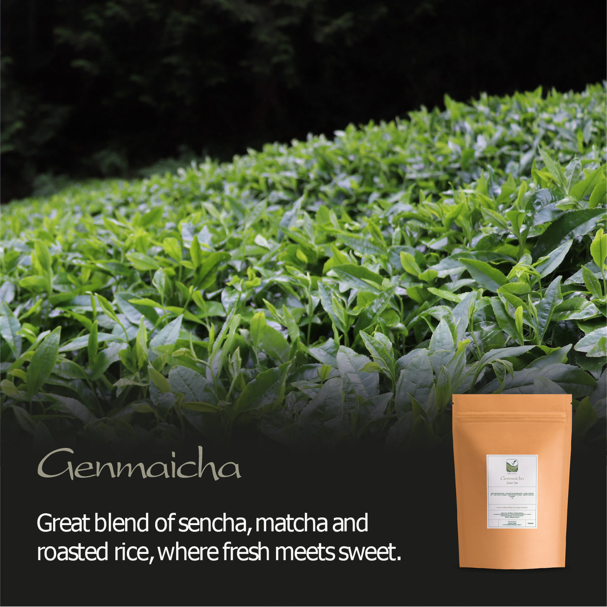 Genmaicha Roasted Rice Japanese Tea