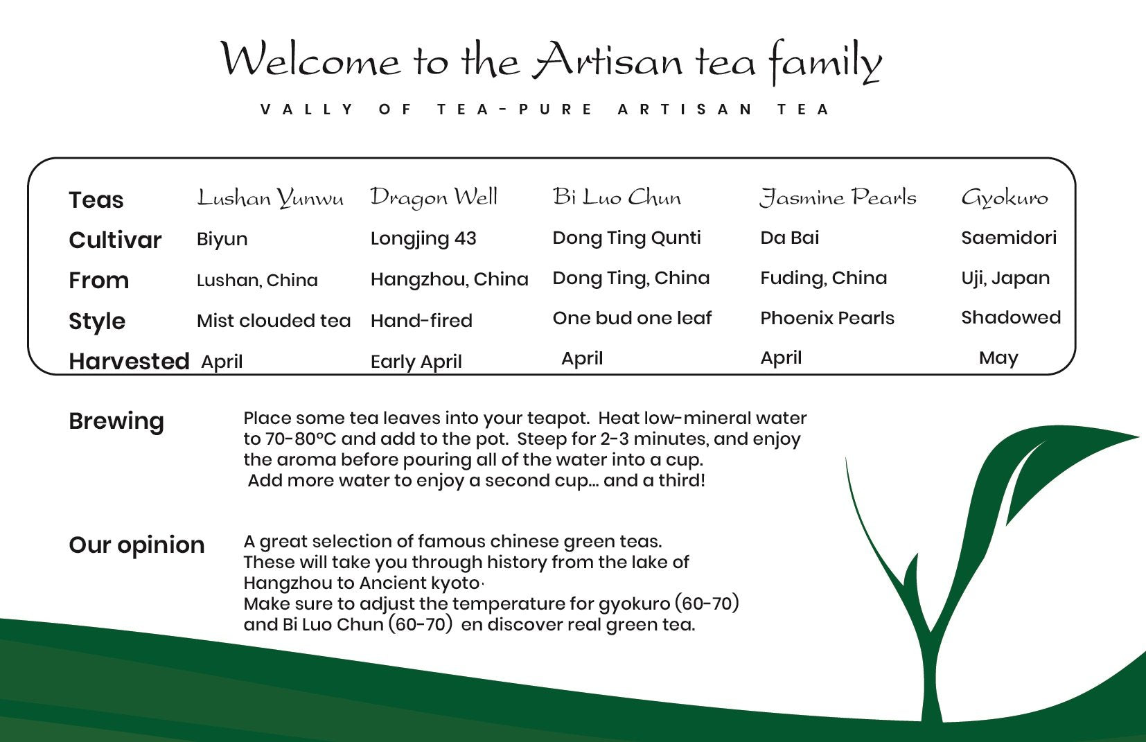 Famous Green - Valley of Tea