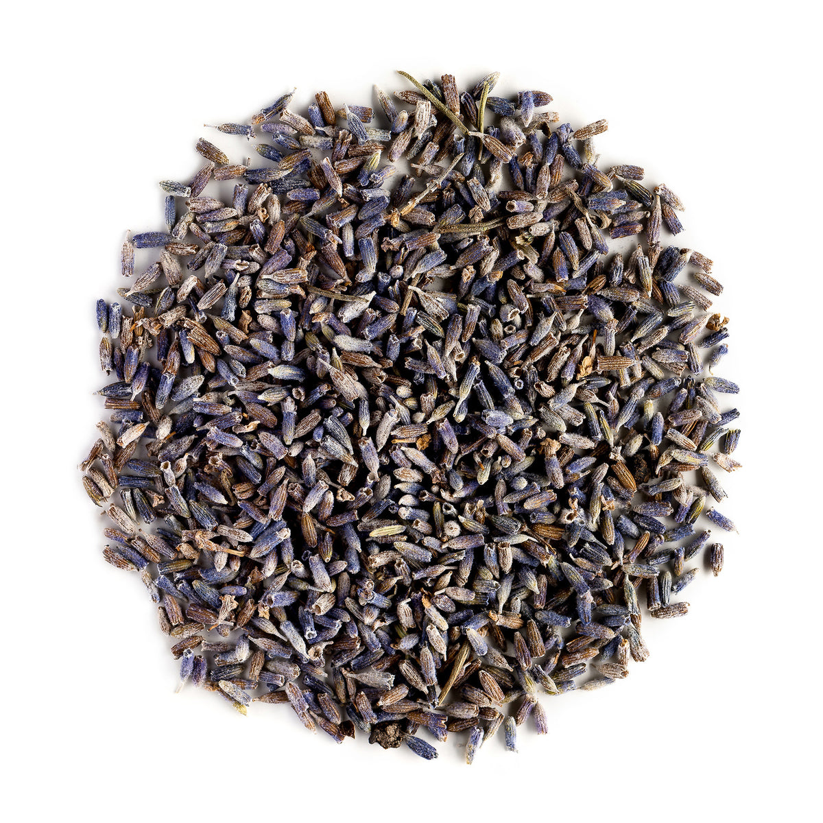 Lavender Knoppen Bio - Perfect In Een Potpourri - Echte Lavandula Angustifolia Bloemen - Gedroogde Lavendel Bloem 