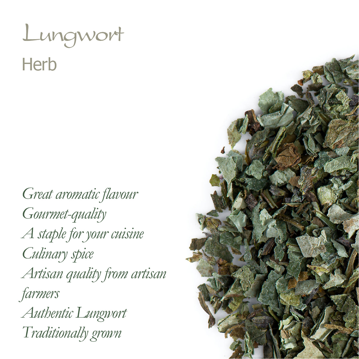 Lungwort Herb Organic Tea - Pulmonaria officinalis L