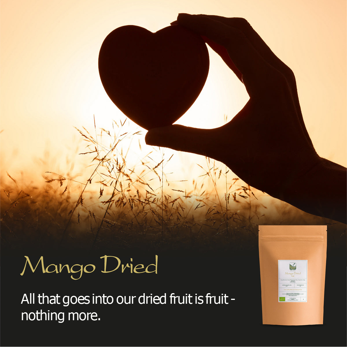 Mango Dried Organic Fruit Slices