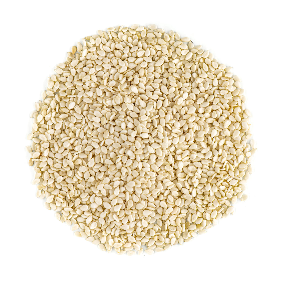 Sesame Seed