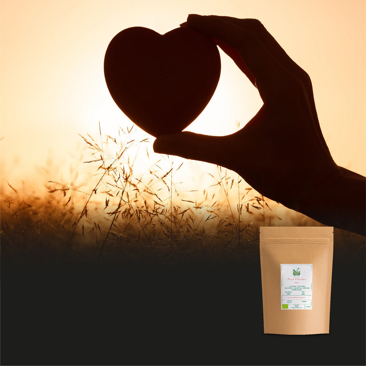 Gedroogd Acai-poeder Superfood Rijk aan antioxidanten Fruitige smaak 