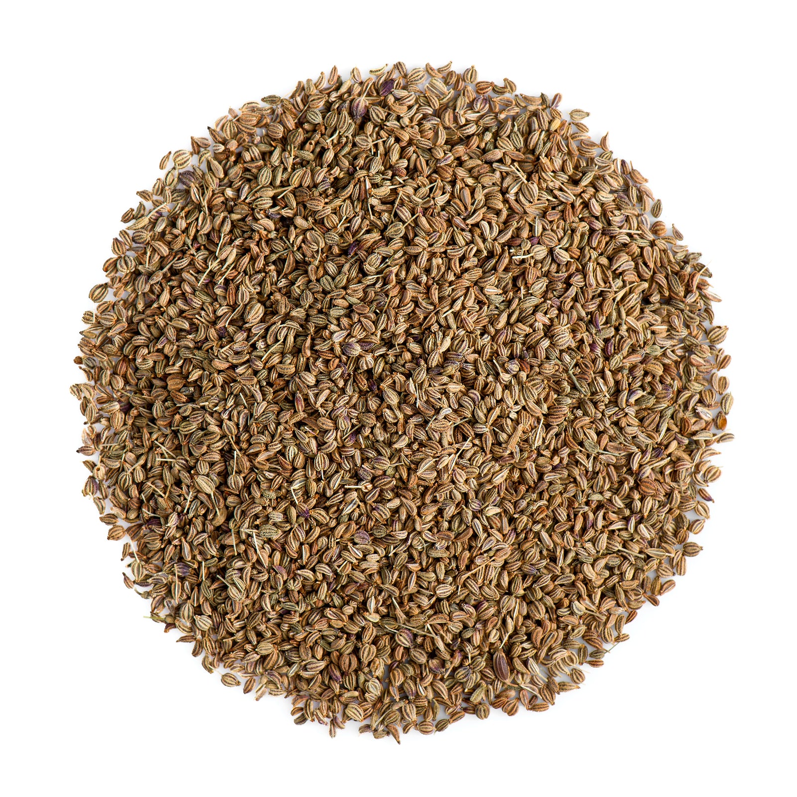 Ajwain Seed