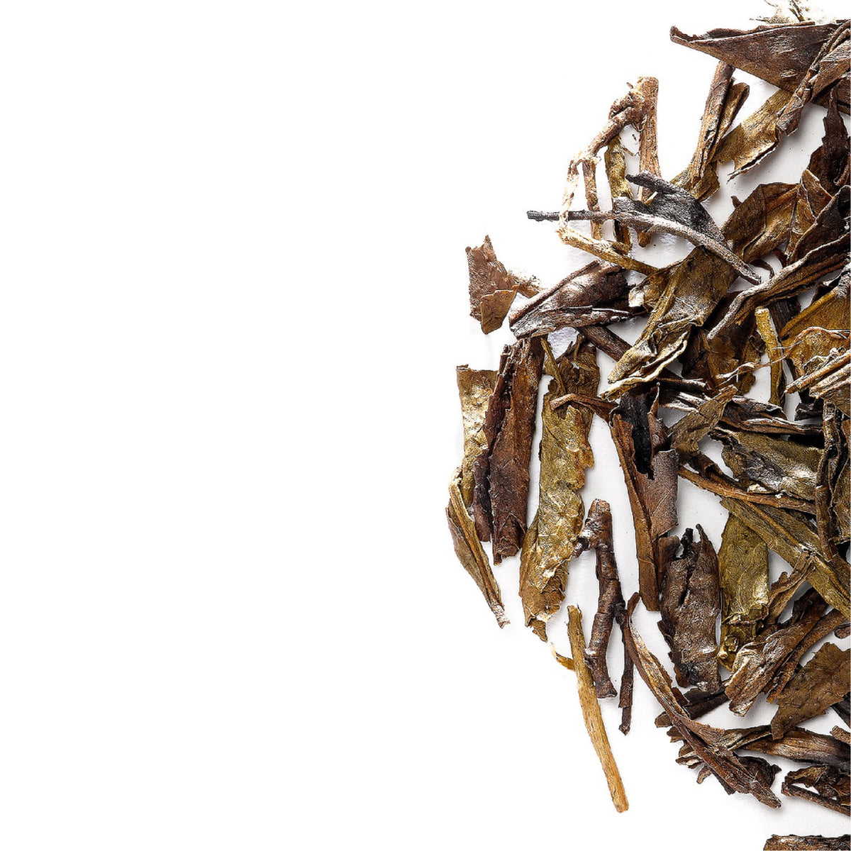 BanchaHojicha