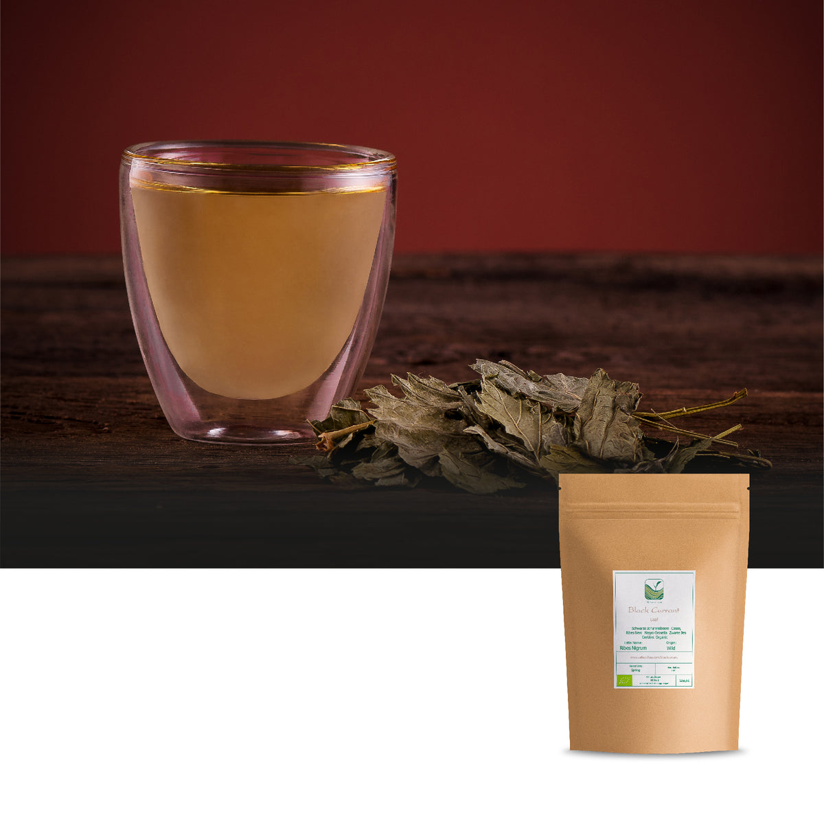 Foglia Di Ribes Nero