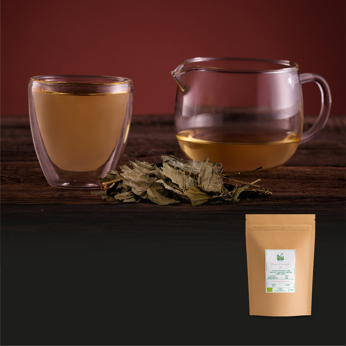 Foglia Di Ribes Nero