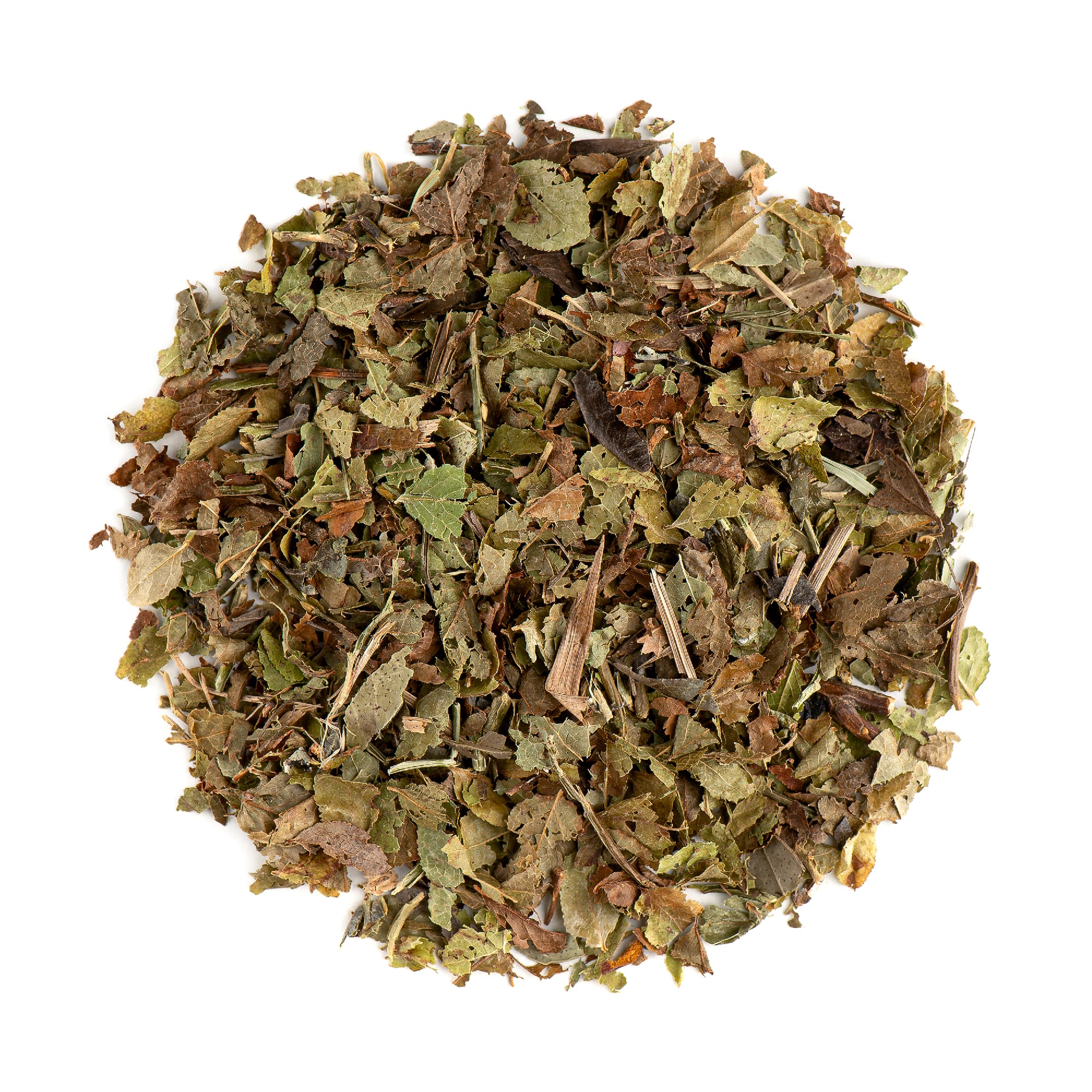 Feuille De Myrtille Bleue