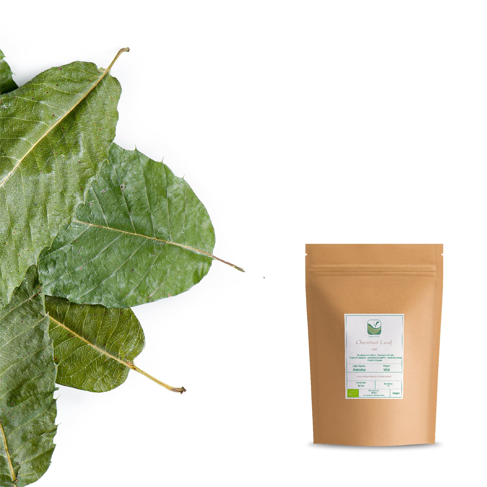 Chestnut Leaf 100g