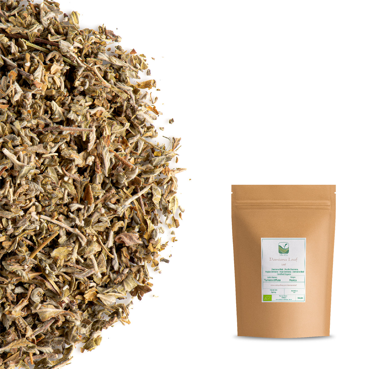 Foglia Damiana