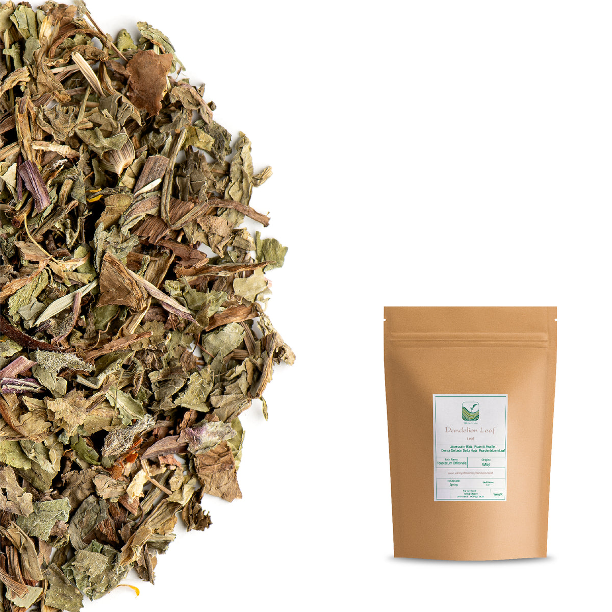 Foglia Di Dente Di Leone