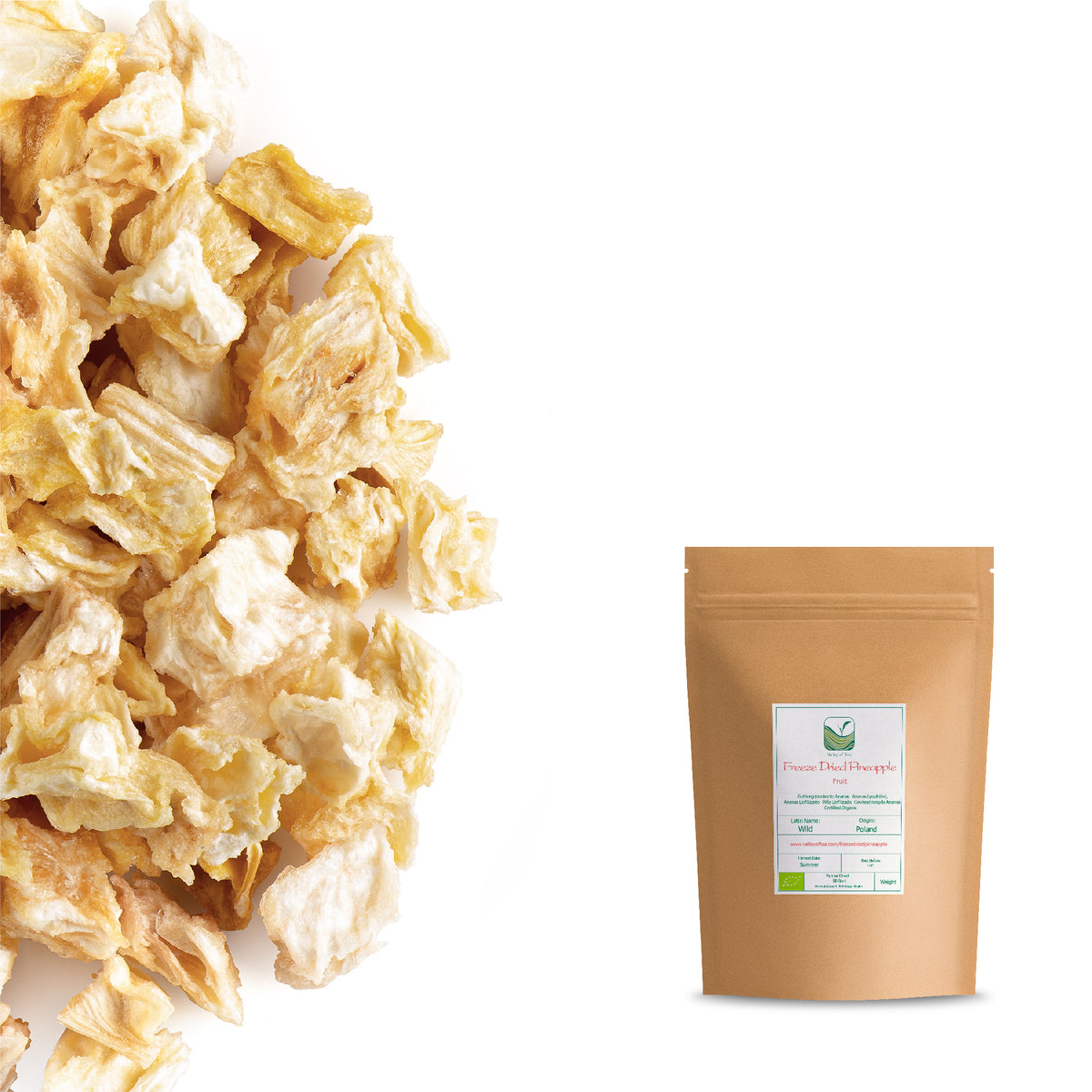 Ananas Lyophilisé