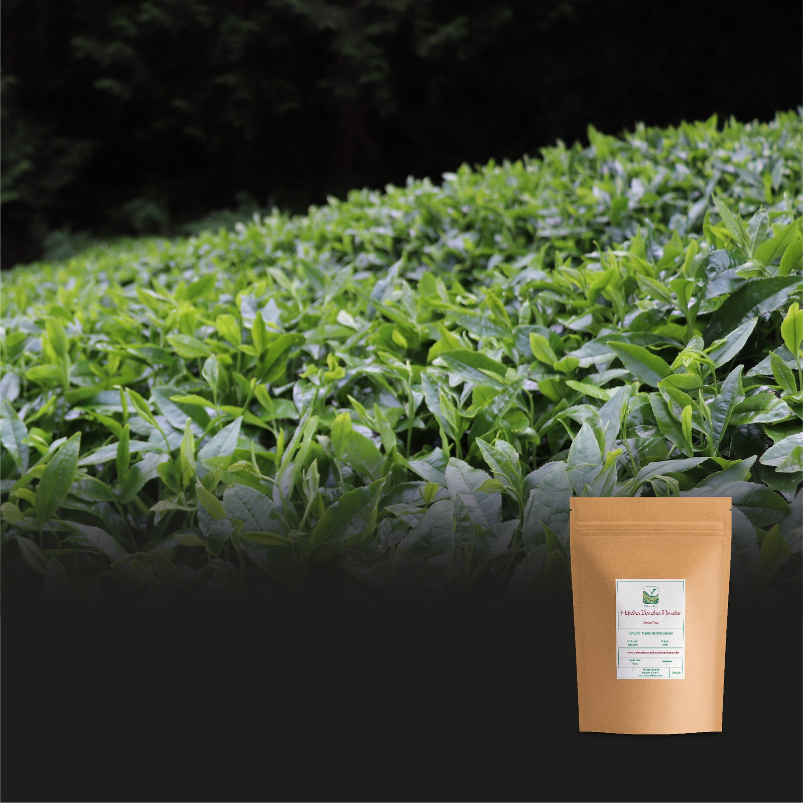 Hojicha Bancha Powder 200g