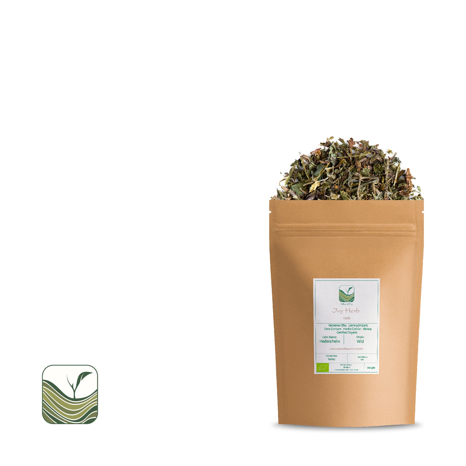 Ivy Herb 100g