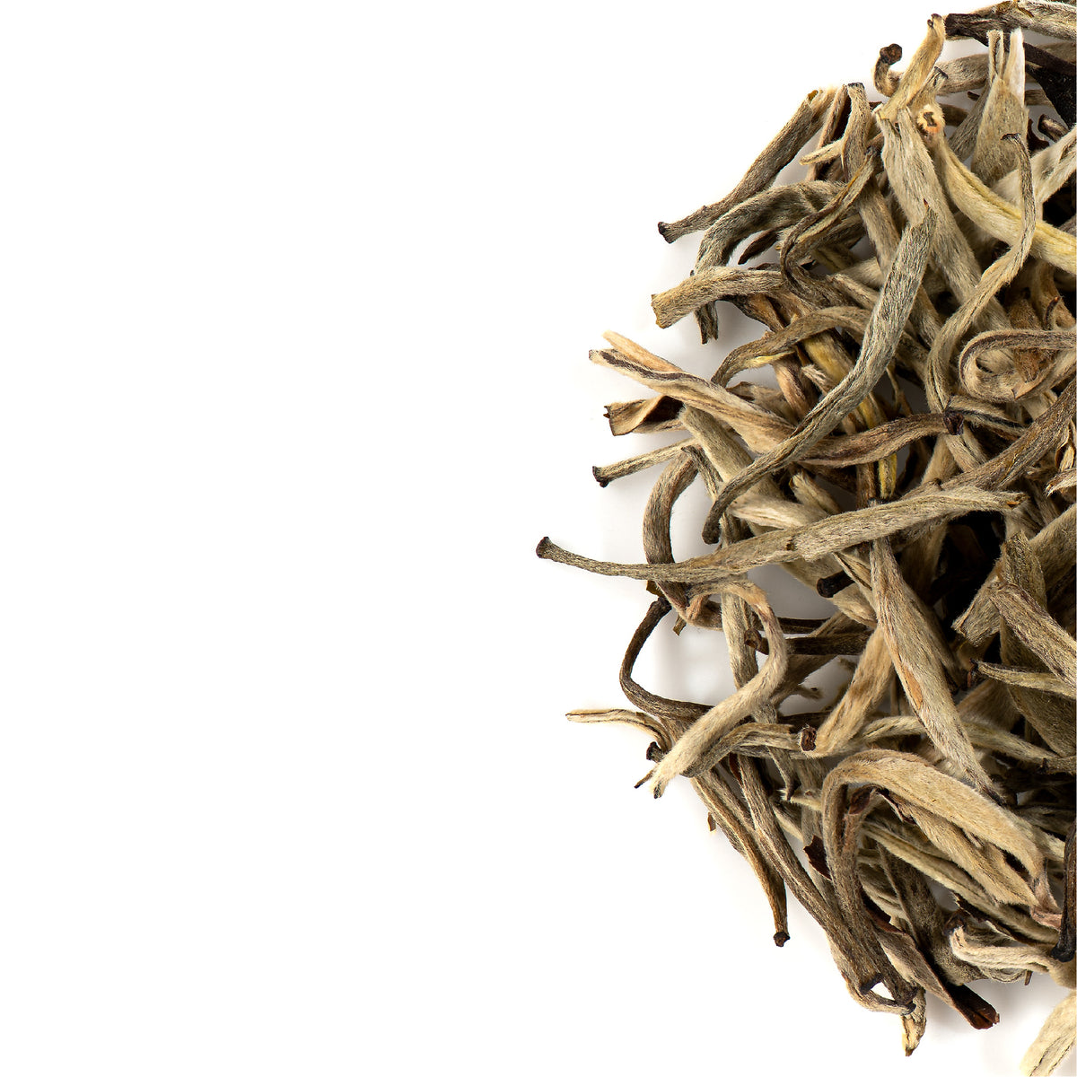 Silver Needle Jasmijn thee - Moli Yinzhen Witte Thee