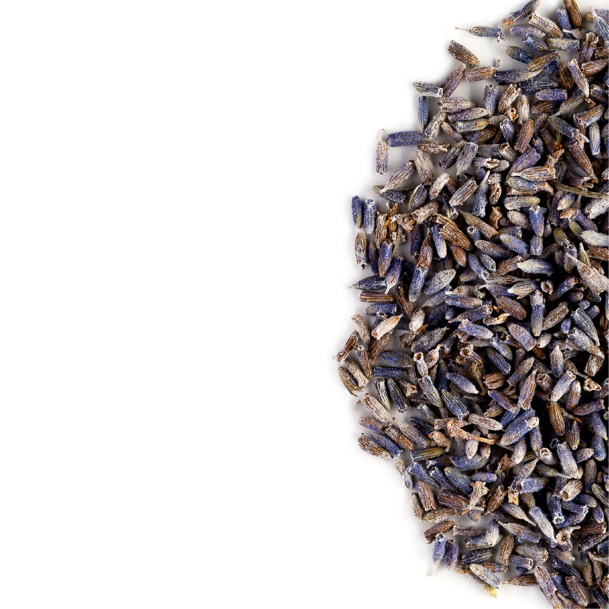 Lavender Knoppen Bio - Perfect In Een Potpourri - Echte Lavandula Angustifolia Bloemen - Gedroogde Lavendel Bloem 