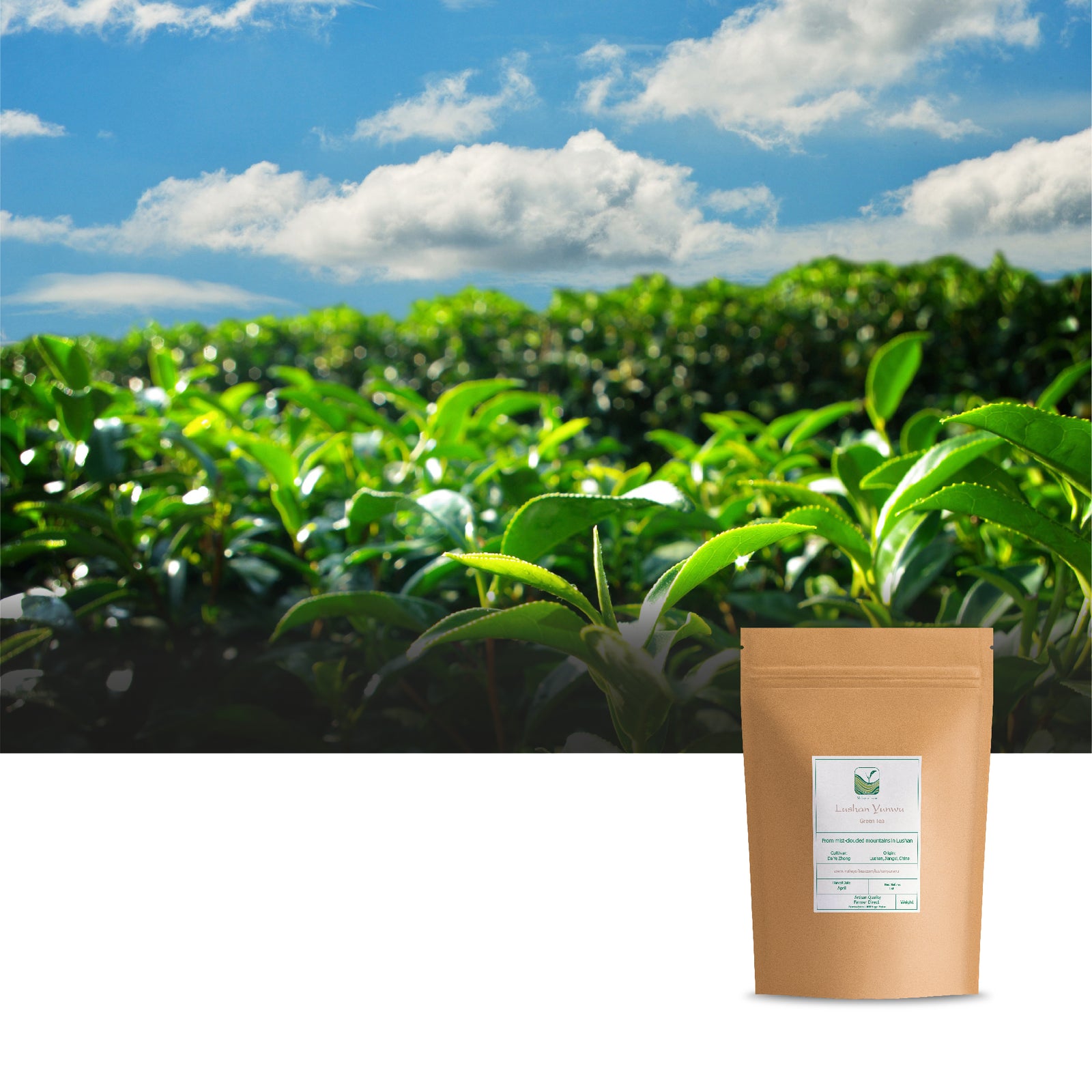 Lushan Yunwu 100g