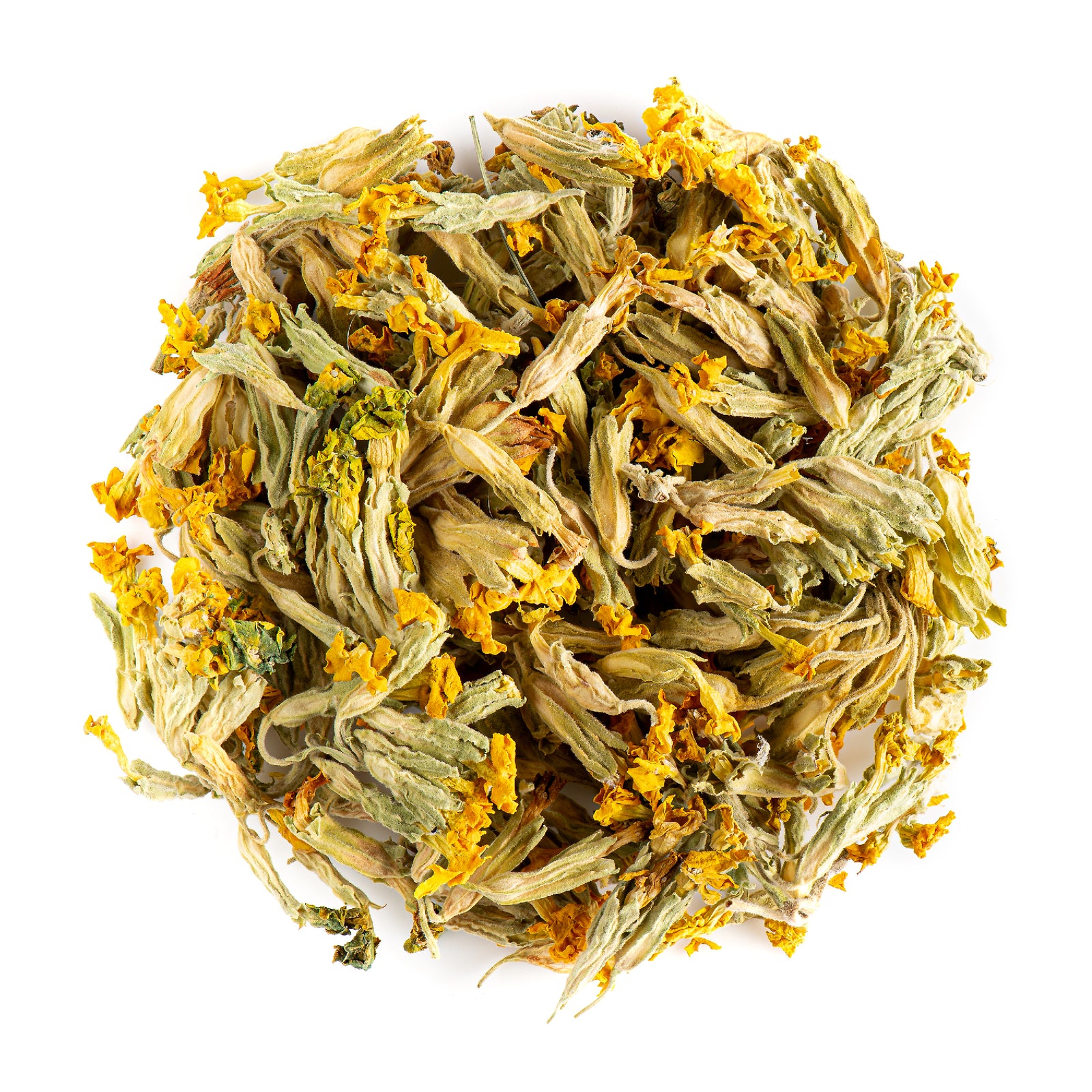 Echte Schlüsselblume