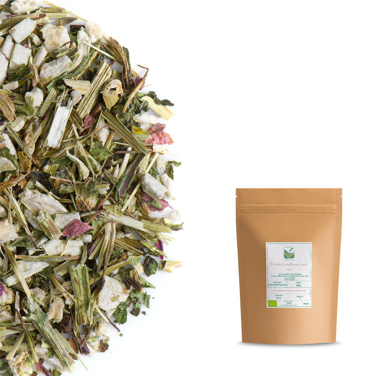 Foglia D&#39;Echinacea Purpurea