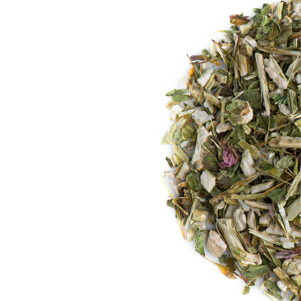 Foglia D&#39;Echinacea Purpurea