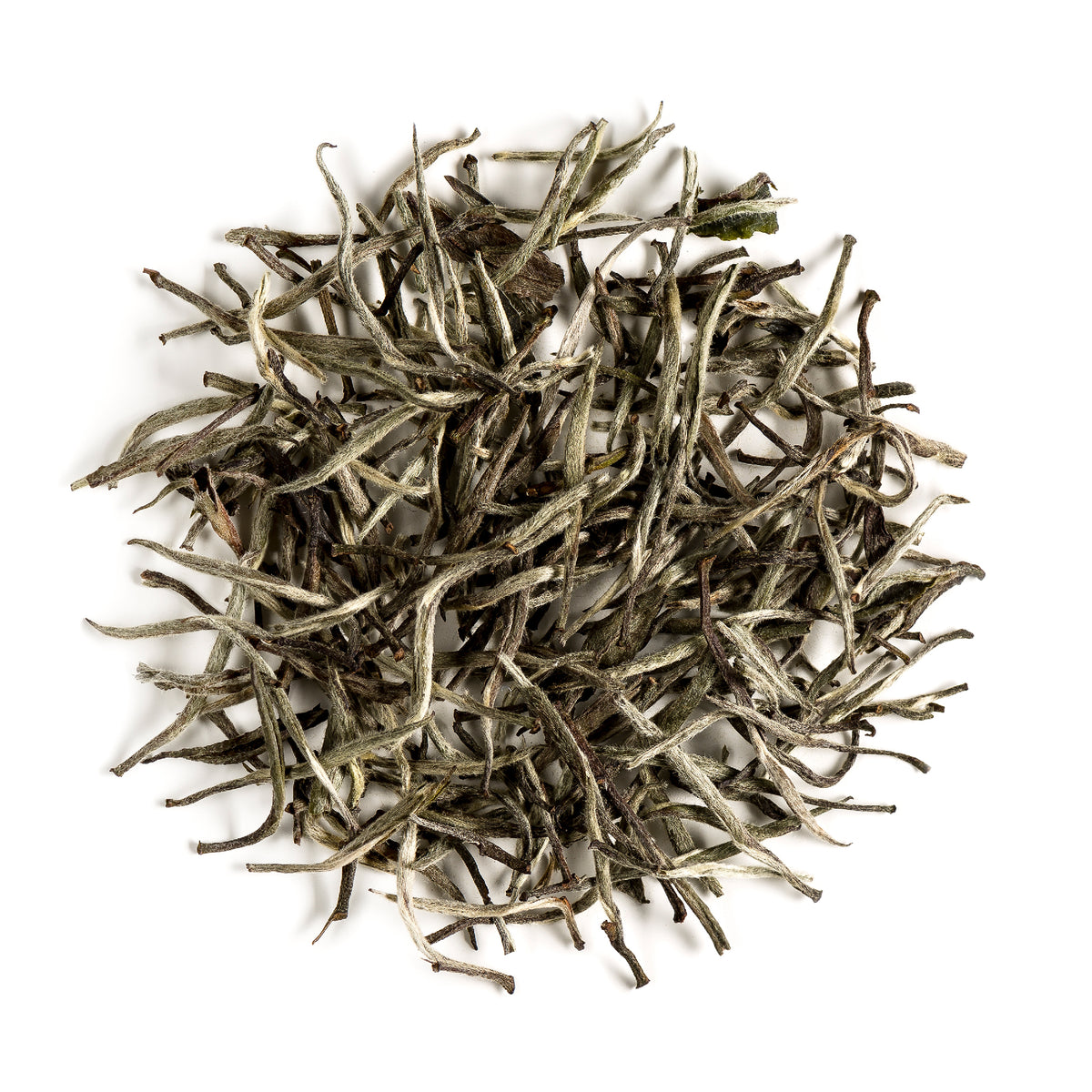 Silver Needle Pure 15g