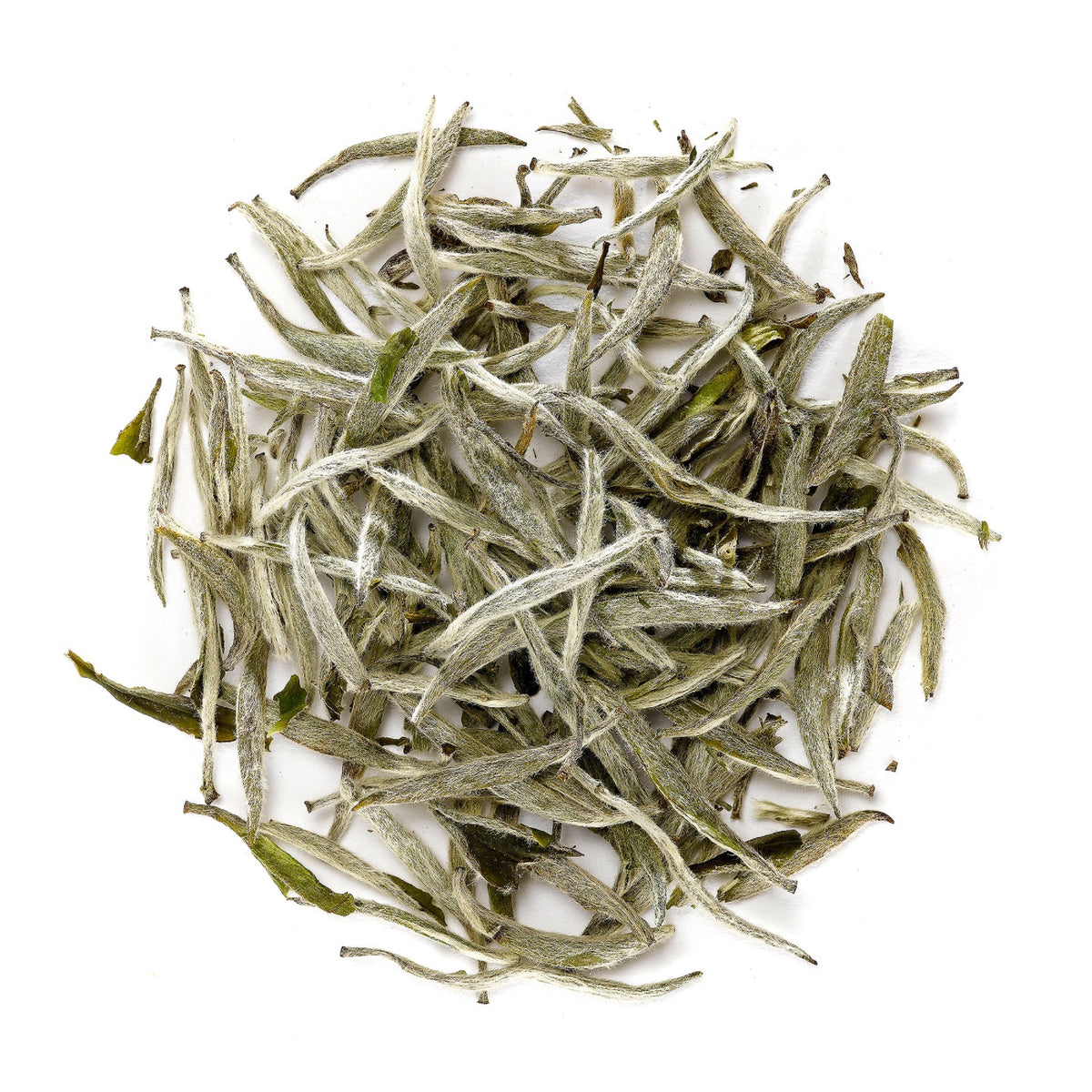 Silver Needle 40g
