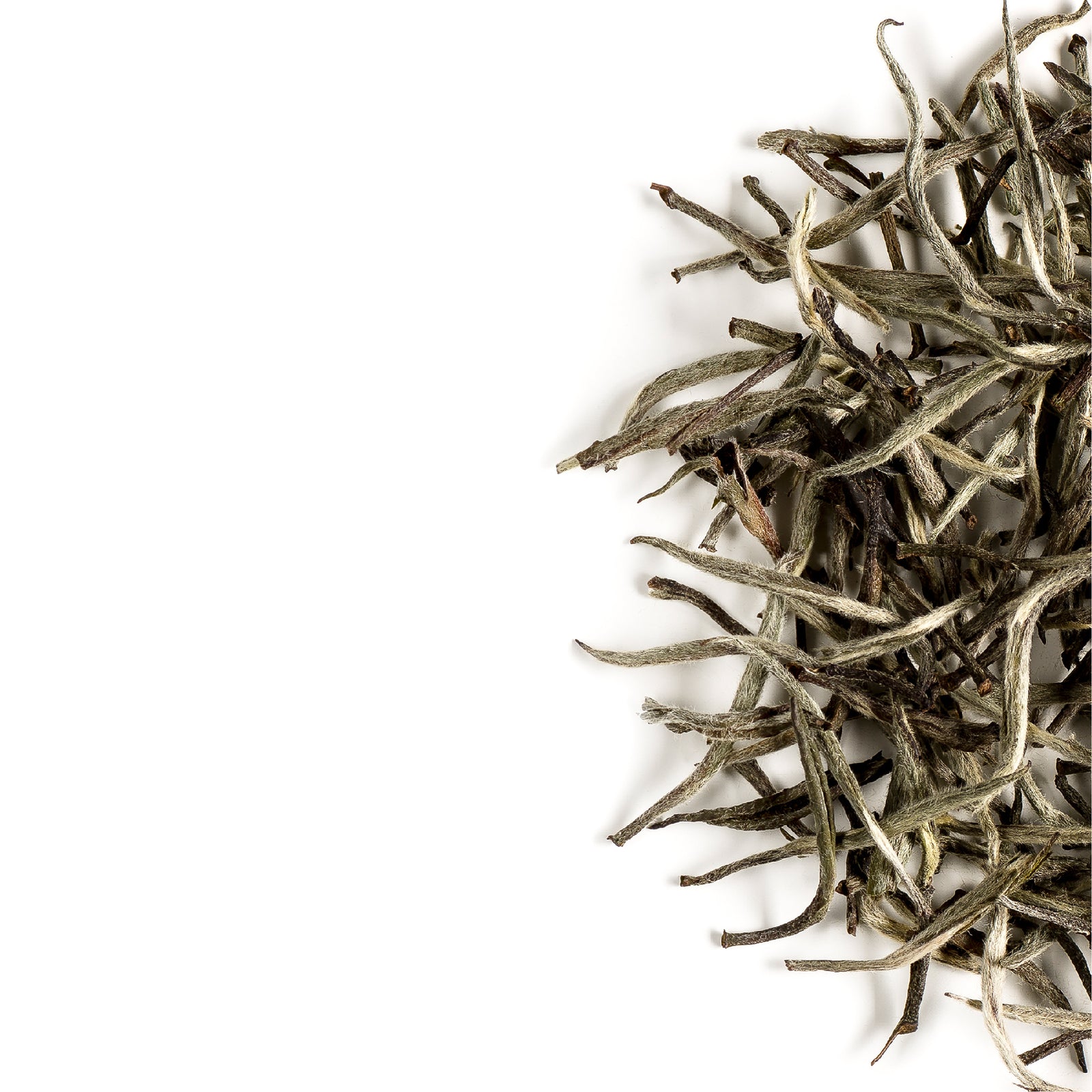Silver Needle Pure 15g