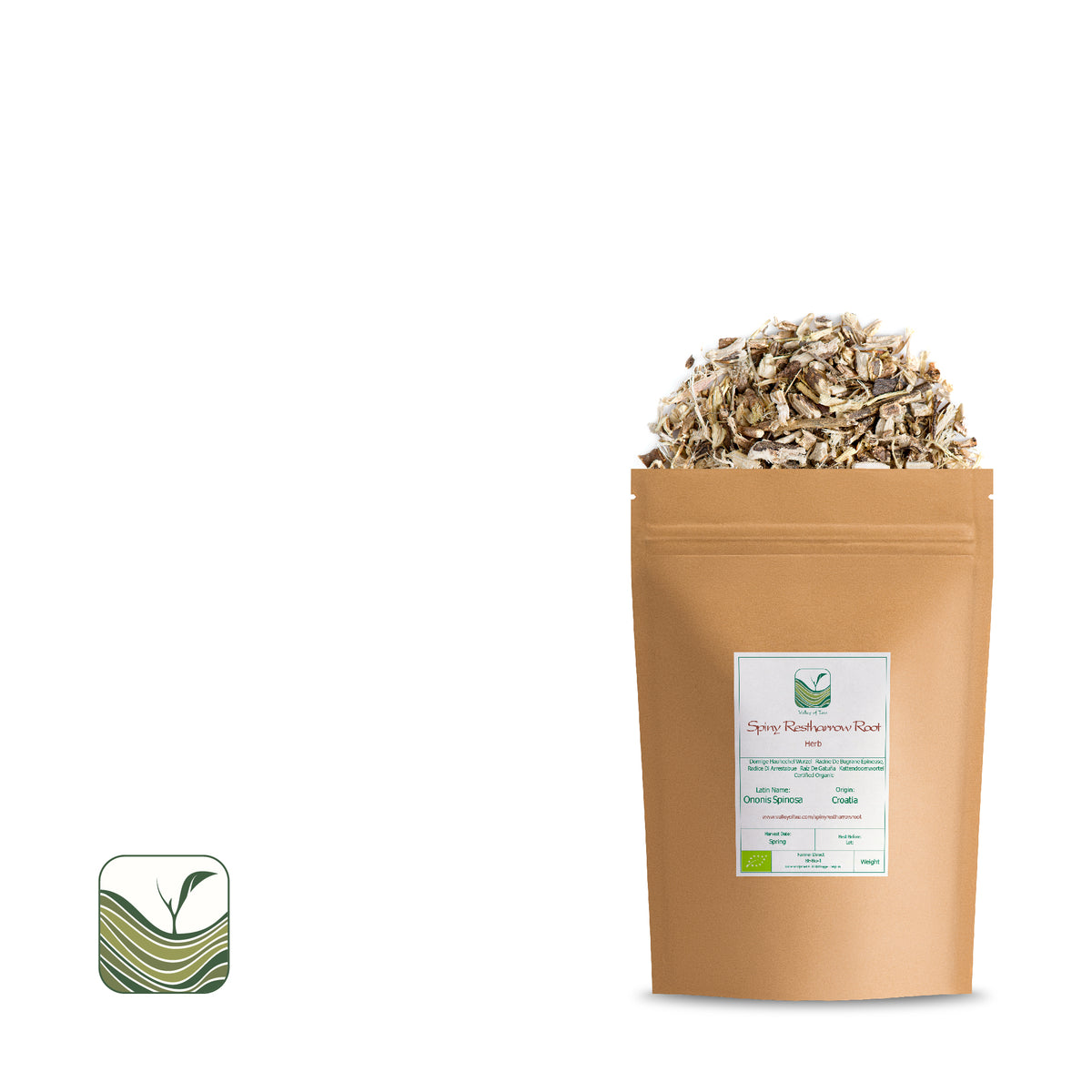 Racine De Bugrane Épineuse