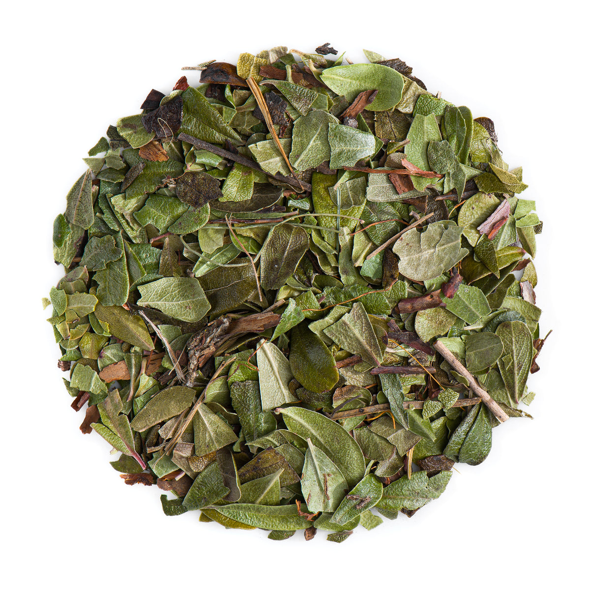 Arctostaphyle Raisin D&#39;ours