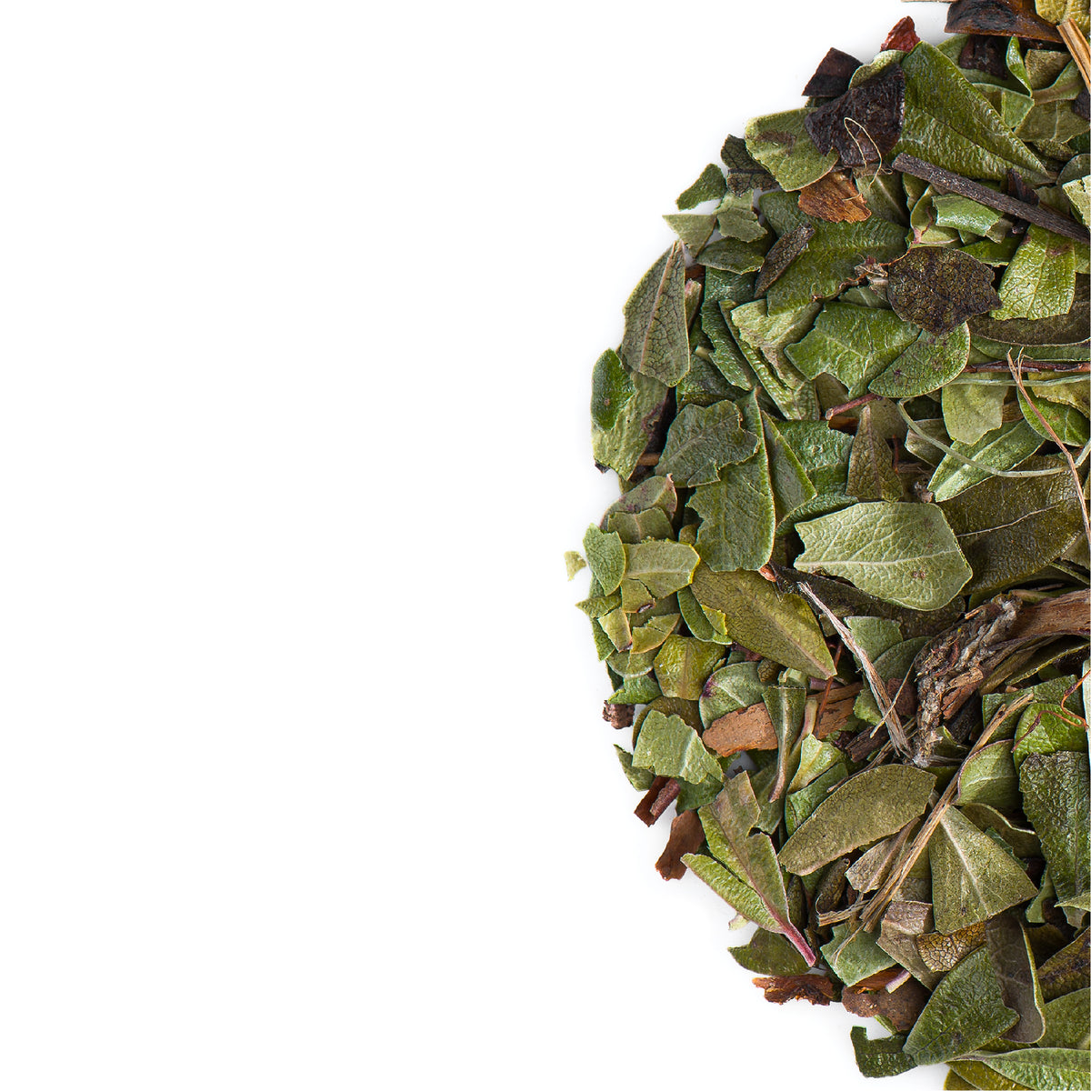 Arctostaphyle Raisin D&#39;ours