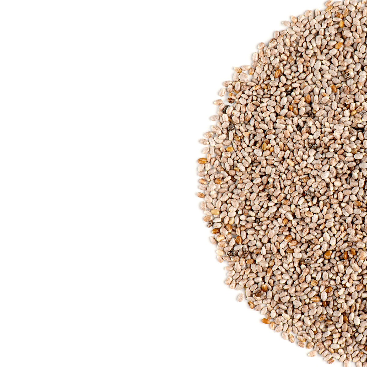 Graines De Chia Blanche