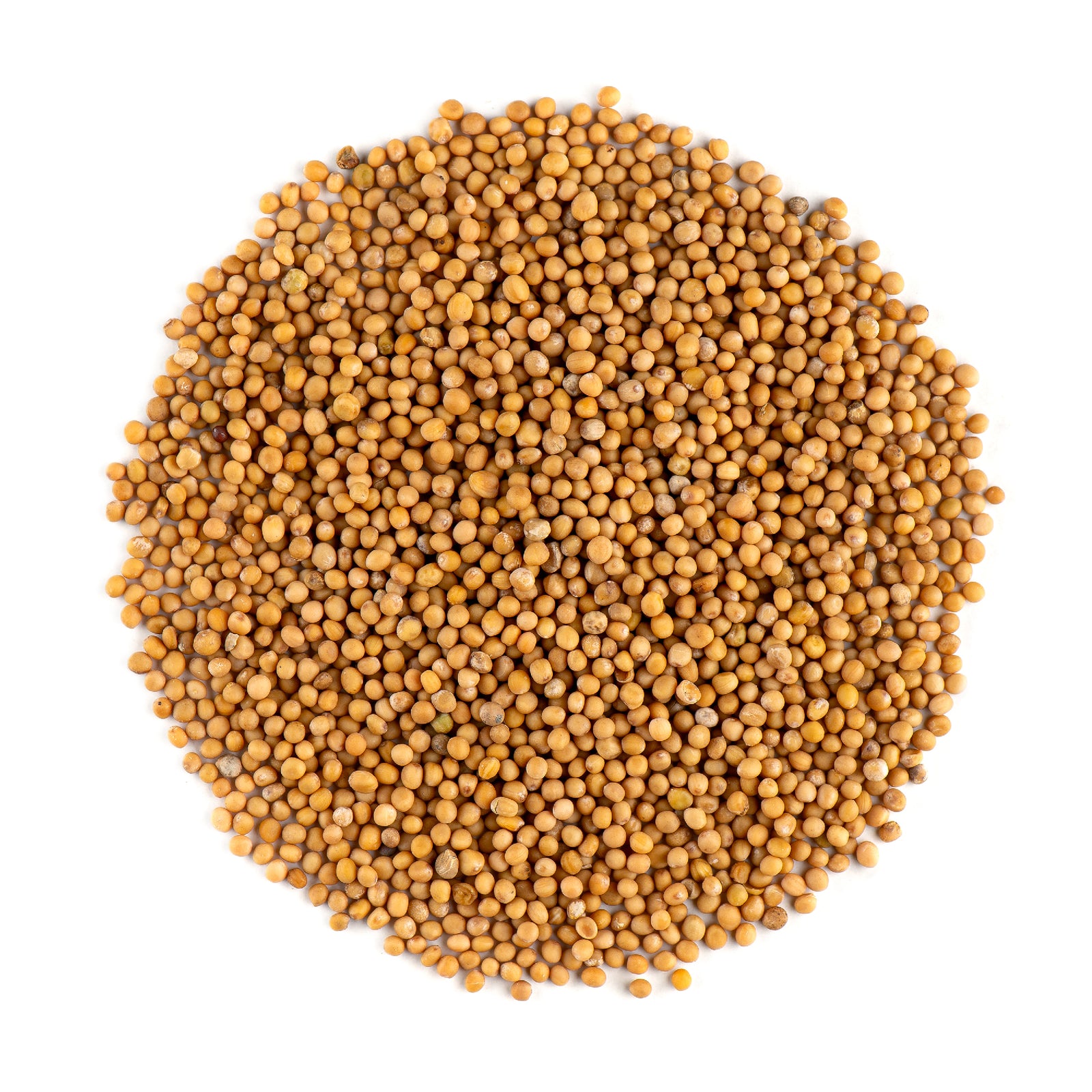 White Mustard Seed 200g