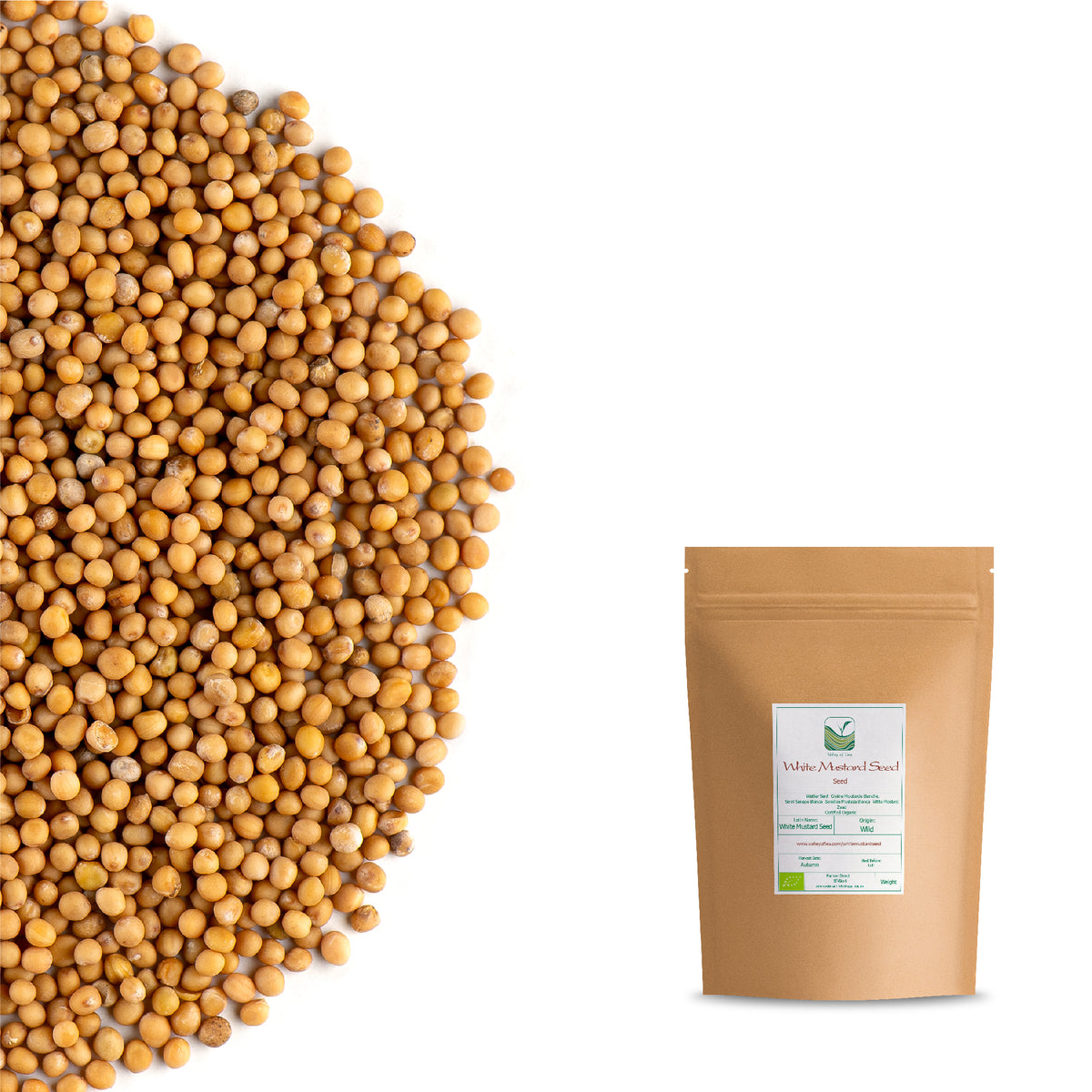 Graines De Moutarde Blanche