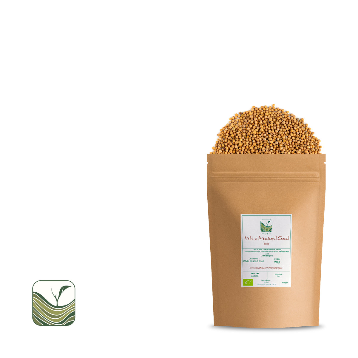 Graines De Moutarde Blanche