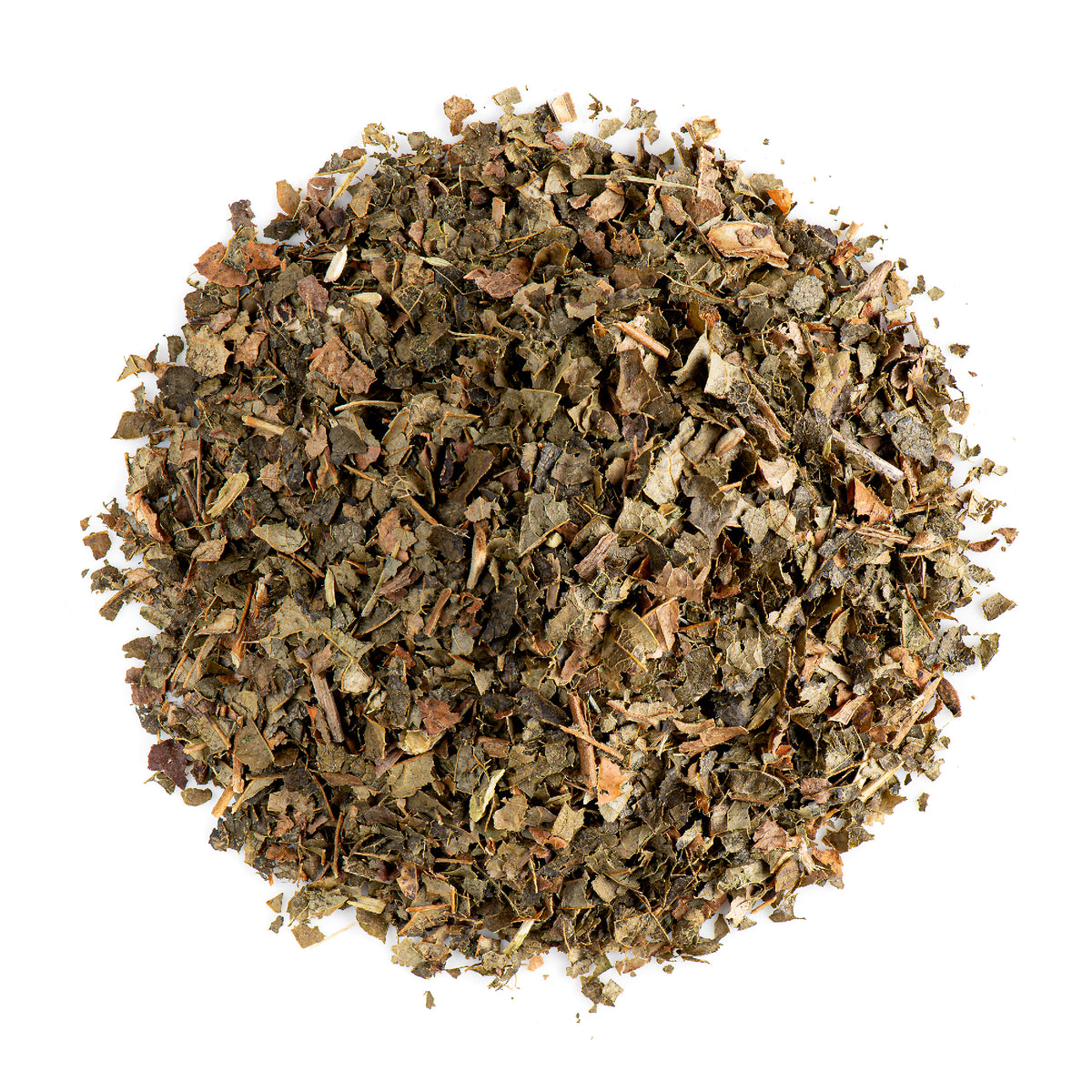 Feuille D&#39;Hamamélis