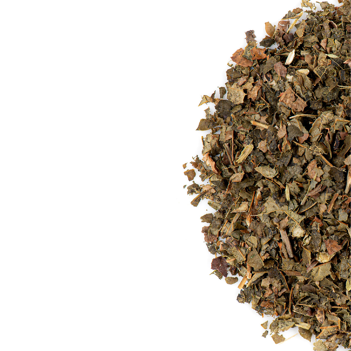 Feuille D&#39;Hamamélis